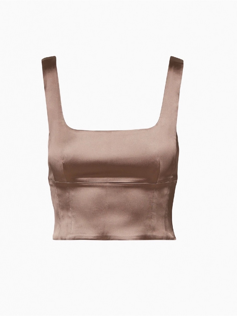 Aritzia Shine Bustier